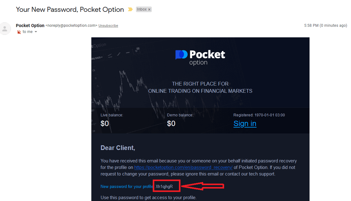 サインインしてPocket Optionからお金を引き出す方法
